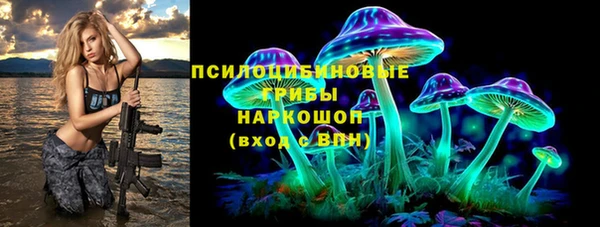 а пвп мука Богданович