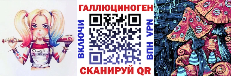 где можно купить   Киреевск  OMG зеркало  Псилоцибиновые грибы мицелий 